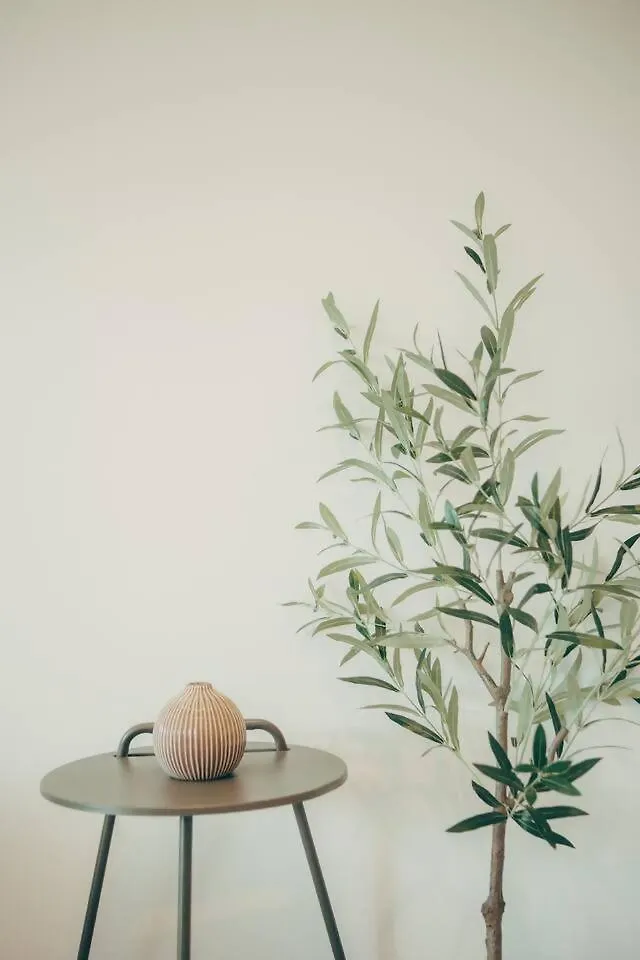 Villa Verano Sancti Petri Siesta 诺沃桑克蒂佩特里 西班牙